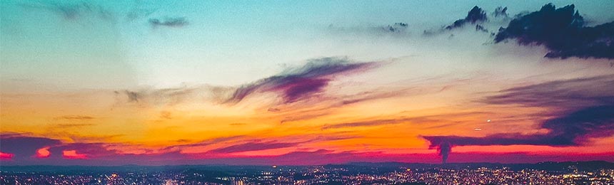 德宏茶虫网_德宏品茶